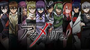 Akame Ga Kill!, Toonami Wiki